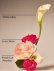 画像3: 【Bath&BodyWorks】Wallflowers詰替リフィル：Flowers for Mom (フラワーフォーマム) (3)