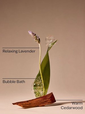 画像3: 【Bath&BodyWorks】Wallflowers詰替リフィル：Spa Day For Mom (スパデイフォーマム)