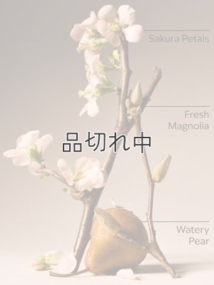 画像2: 【Bath&BodyWorks】ファインフレグランスミスト：フォーエバーチェリーブロッサム