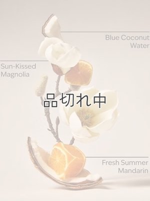 画像2: 【Bath&BodyWorks】Wallflowers詰替リフィル：エンドレスウィークエンド