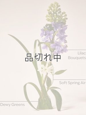 画像2: 【Bath&BodyWorks】Wallflowers詰替リフィル：フレッシュカットライラック
