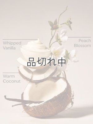 画像3: 【Bath&BodyWorks】Wallflowers詰替リフィル(2個入り)：バニラココナッツ