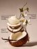 画像3: 【Bath&BodyWorks】Wallflowers詰替リフィル(2個入り)：バニラココナッツ (3)