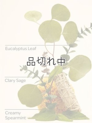 画像2: 【Bath&BodyWorks】Wallflowers詰替リフィル：Stress Relief-ユーカリスペアミント