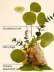 画像2: 【Bath&BodyWorks】Wallflowers詰替リフィル：Stress Relief-ユーカリスペアミント (2)