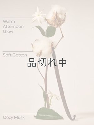画像2: 【Bath&BodyWorks】Wallflowers詰替リフィル：キャットナップ