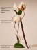 画像2: 【Bath&BodyWorks】Wallflowers詰替リフィル：キャットナップ (2)