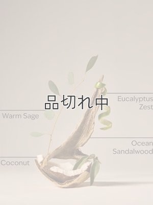 画像2: 【Bath&BodyWorks】Wallflowers詰替リフィル(2個入り)：ウォームオーシャンブリーズ