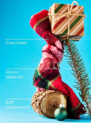 画像3: 【Bath&BodyWorks】ハンギングフレグランスディフューザー(吊り下げ)：Cozy Christmas PJs (コージークリスマスパジャマ)