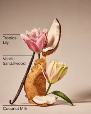 画像2: 【Bath&BodyWorks】ボディクリーム：Eau De Coconut (オードココナッツ)