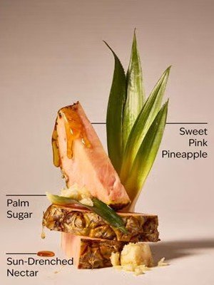 画像3: 【Bath&BodyWorks】ハンギングフレグランスディフューザー(吊り下げ)：ピンクパイナップルサンライズ
