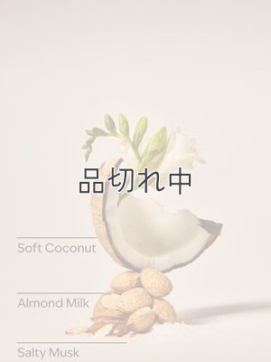 画像3: 【Bath&Body Works】ドライヤーシート(40枚入り)：ココナッツリネン