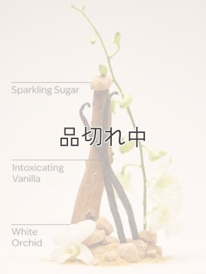 画像3: 【Bath&BodyWorks】Wallflowers詰替リフィル(2個入り)：ウォームバニラシュガー