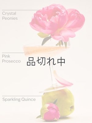 画像3: 【Bath&BodyWorks】Wallflowers詰替リフィル(2個入り)：A Thousand Wishes