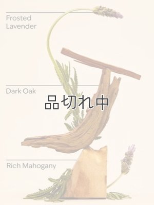 画像3: 【Bath&BodyWorks】Wallflowers詰替リフィル(2個入り)：マホガニーティークウッド