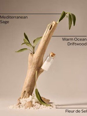 画像2: 【Bath&BodyWorks】Wallflowers詰替リフィル：シーソルト＆ドリフトウッド