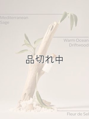 画像2: 【Bath&BodyWorks】Wallflowers詰替リフィル：シーソルト＆ドリフトウッド