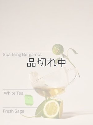画像3: 【Bath&BodyWorks】Wallflowers詰替リフィル(2個入り)：ホワイトティー＆セージ