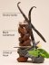 画像3: 【Bath&BodyWorks】Wallflowers詰替リフィル(2個入り)：NOIR (ノワール) (3)