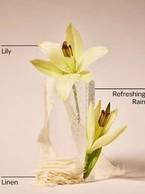 画像3: 【Bath&BodyWorks】Wallflowers詰替リフィル(2個入り)：フレッシュレインフォール＆リネン