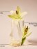 画像3: 【Bath&BodyWorks】Wallflowers詰替リフィル(2個入り)：フレッシュレインフォール＆リネン (3)