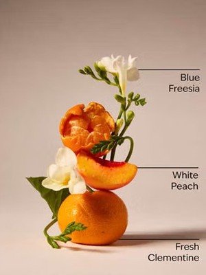 画像2: 【Bath&BodyWorks】Wallflowers詰替リフィル：ギンガム