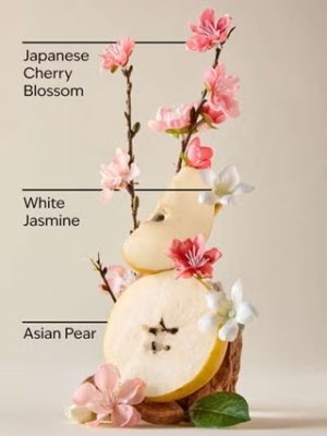 画像2: 【Bath&BodyWorks】Wallflowers詰替リフィル：ジャパニーズチェリーブロッサム