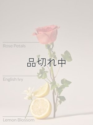画像3: 【Bath&BodyWorks】Wallflowers詰替リフィル(2個入り)：ローズウォーター＆アイビー