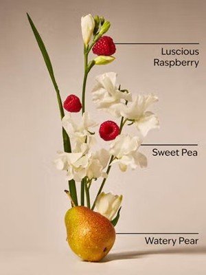 画像3: 【Bath&BodyWorks】Wallflowers詰替リフィル(2個入り)：スイートピー