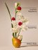 画像3: 【Bath&BodyWorks】Wallflowers詰替リフィル(2個入り)：スイートピー (3)