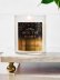 画像4: 【Bath&BodyWorks】シグネチャー1-wickキャンドル（8oz）：Into the Night (4)
