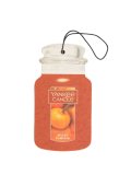 【YANKEE CANDLE/ヤンキーキャンドル】カージャー(ペーパーサシェ)：スパイスパンプキン