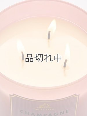 画像5: 【Bath&BodyWorks】3-wickキャンドル（14.5oz）：シャンパントースト