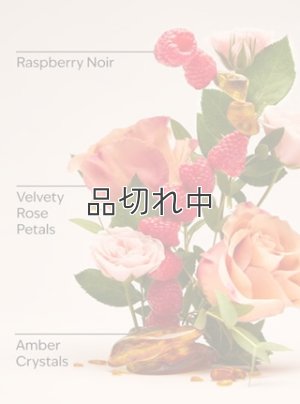 画像3: 【Bath&BodyWorks】Wallflowers詰替リフィル(2個入り)：Into the Night