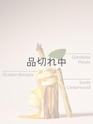 画像2: 【Bath&BodyWorks】ボディローション：ドリーミングオブリオ