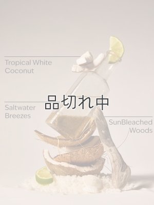 画像2: 【Bath&BodyWorks】フォーミングハンドソープ：ワイキキビーチココナッツ