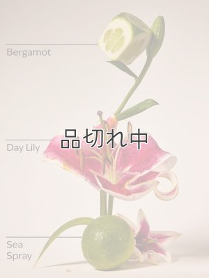 画像2: 【Bath&BodyWorks】フォーミングハンドソープ：ターコイズウォーター