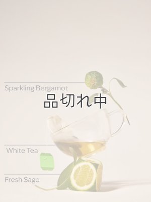 画像2: 【Bath&BodyWorks】フォーミングハンドソープ：ホワイトティー＆セージ