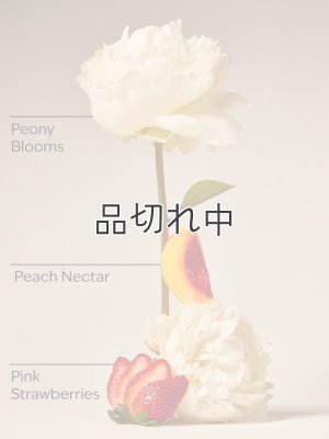 画像2: 【Bath&BodyWorks】フォーミングハンドソープ：ギンガムゴージャス