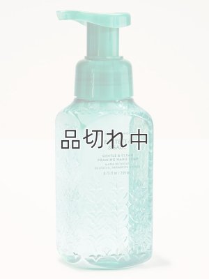 画像1: 【Bath&BodyWorks】フォーミングハンドソープ：ホワイトティー＆セージ