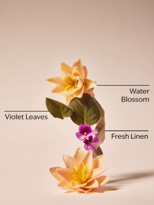 画像2: 【Bath&BodyWorks】ファインフレグランスミスト：ソルトウォーターブリーズ