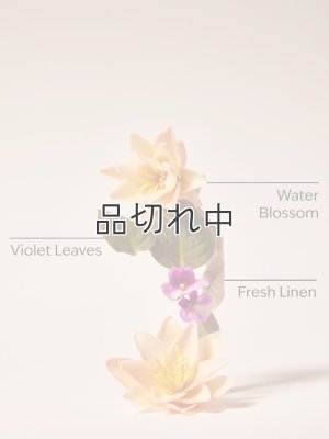 画像2: 【Bath&BodyWorks】ファインフレグランスミスト：ソルトウォーターブリーズ