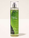 【Bath&BodyWorks】ファインフレグランスミスト：レインキスリーブス