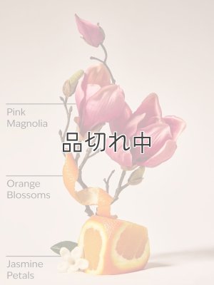 画像2: 【Bath&BodyWorks】Wallflowers詰替リフィル：ピンクペタルコンフェッティ