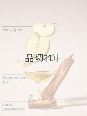 画像2: 【Bath&BodyWorks】ファインフレグランスミスト：Bright & Breezy (ブライト＆ブリージー)