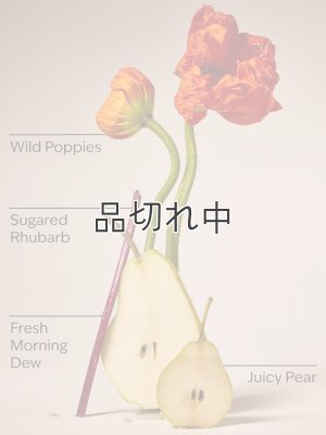 画像2: 【Bath&BodyWorks】Wallflowers詰替リフィル：ポピー