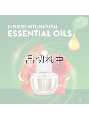画像3: 【Airwick/エアーウィック】プラグインオイルリフィル(2個入)：フレッシュストロベリーズ