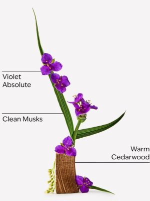 画像2: 【Bath&BodyWorks】ファインフレグランスミスト：Very Violet (ベリーバイオレット)