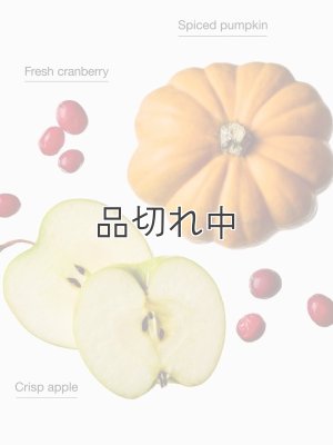 画像2: 【Bath&BodyWorks】フォーミングハンドソープ：ザパーフェクトオータム