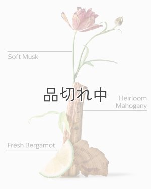 画像2: 【Bath&BodyWorks】フォーミングハンドソープ：フランネル